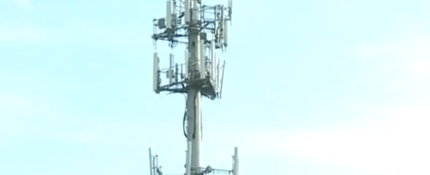 Do you believe cell phone towers are harmful to your health?