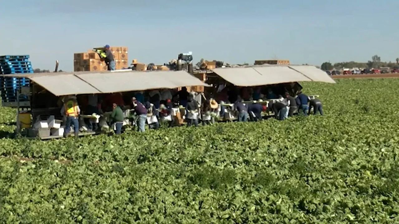 Do you agree with the Trump Administration ending the auto renewal for immigrants' work permits? Do you agree with the Trump Administration ending the auto renewal for immigrants' work permits?