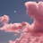 Dream Wonders