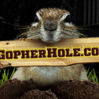 Are you planning on attending Gophers fball road game this year?