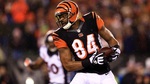 Should the Packers sign Jermaine Gresham?