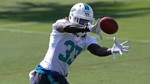 Should the Dolphins use a RB by committee approach in 2015?