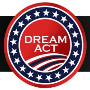 Should there be a path to citizenship for illegal immigrants?