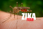 #ZikaVirus: What will likely spread faster?