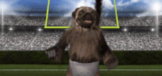 Any commercials that you liked at the Super Bowl? Which ones?