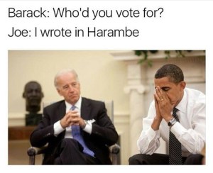 What was the best meme series of 2016?