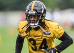 Rookie Season Boom or Bust: Terrell Edmunds S, PIT