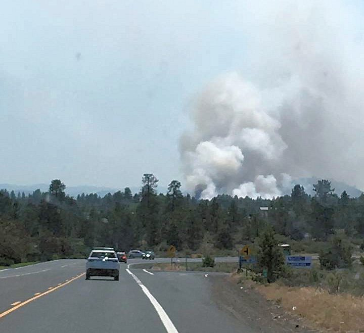 Would more logging mean fewer big wildfires?