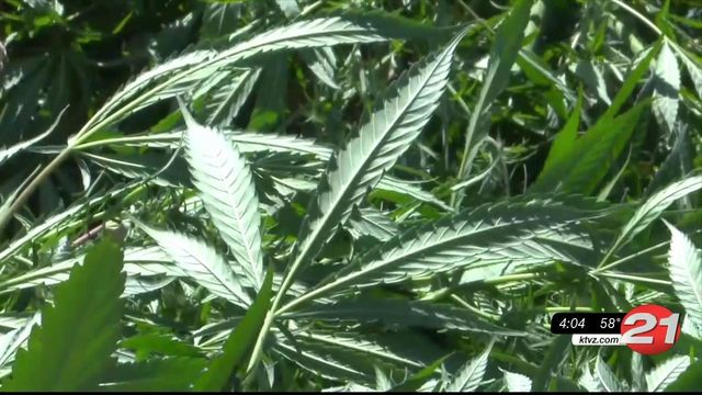Should marijuana producers pay transportation system fees?