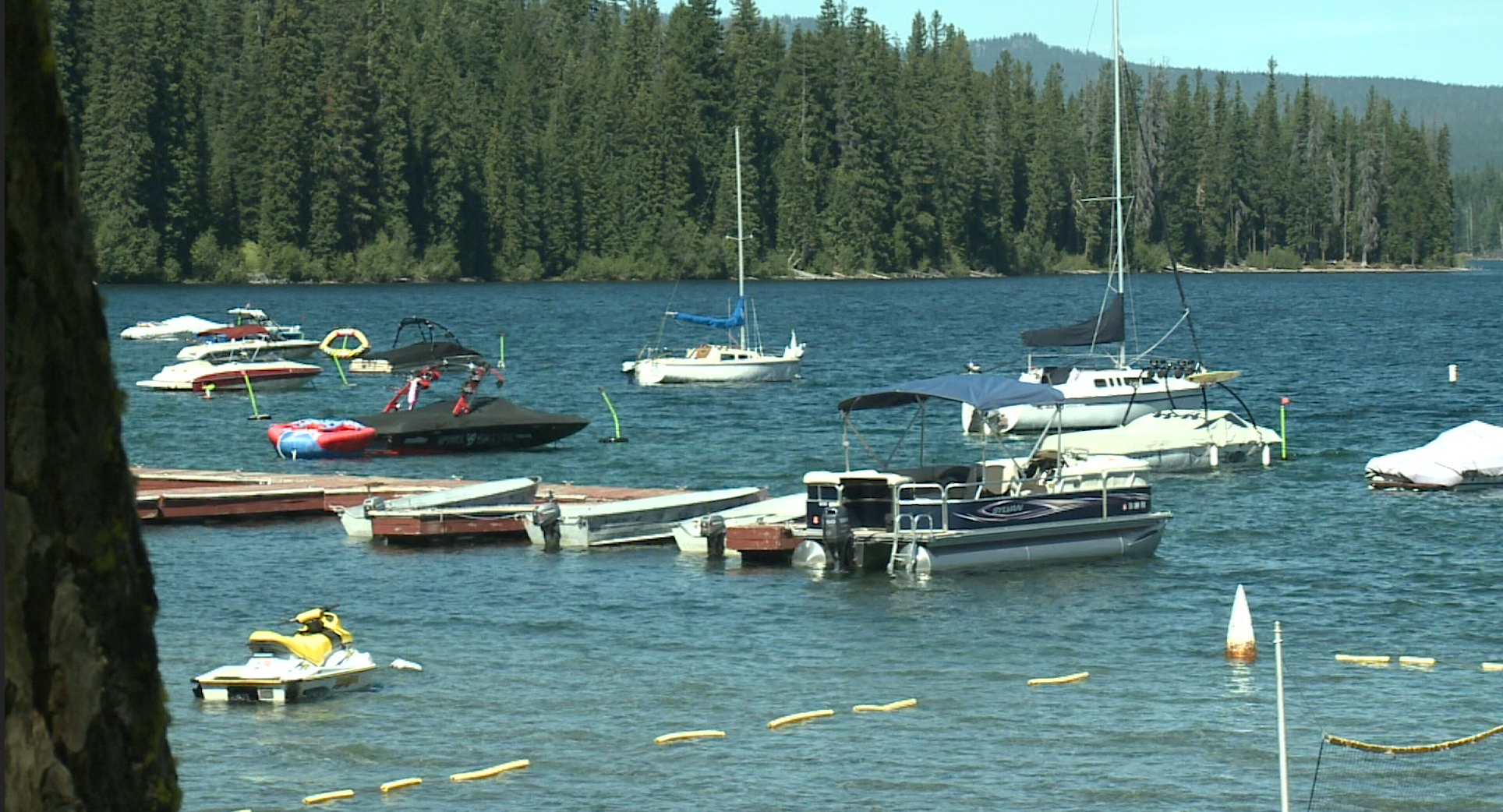 Do you agree with limiting camping on national forest land?