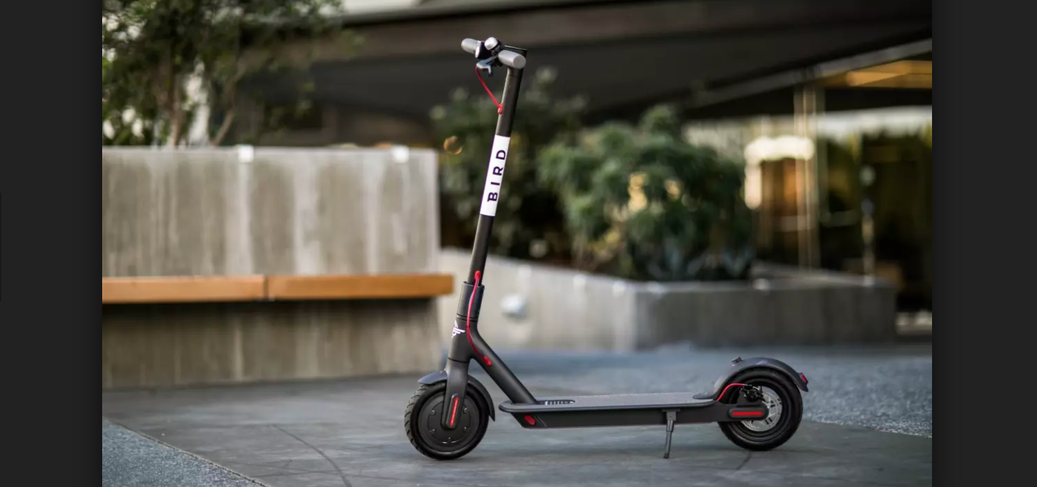 What do you think of the Bird scooters?