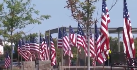 Should all flags be protected free speech?