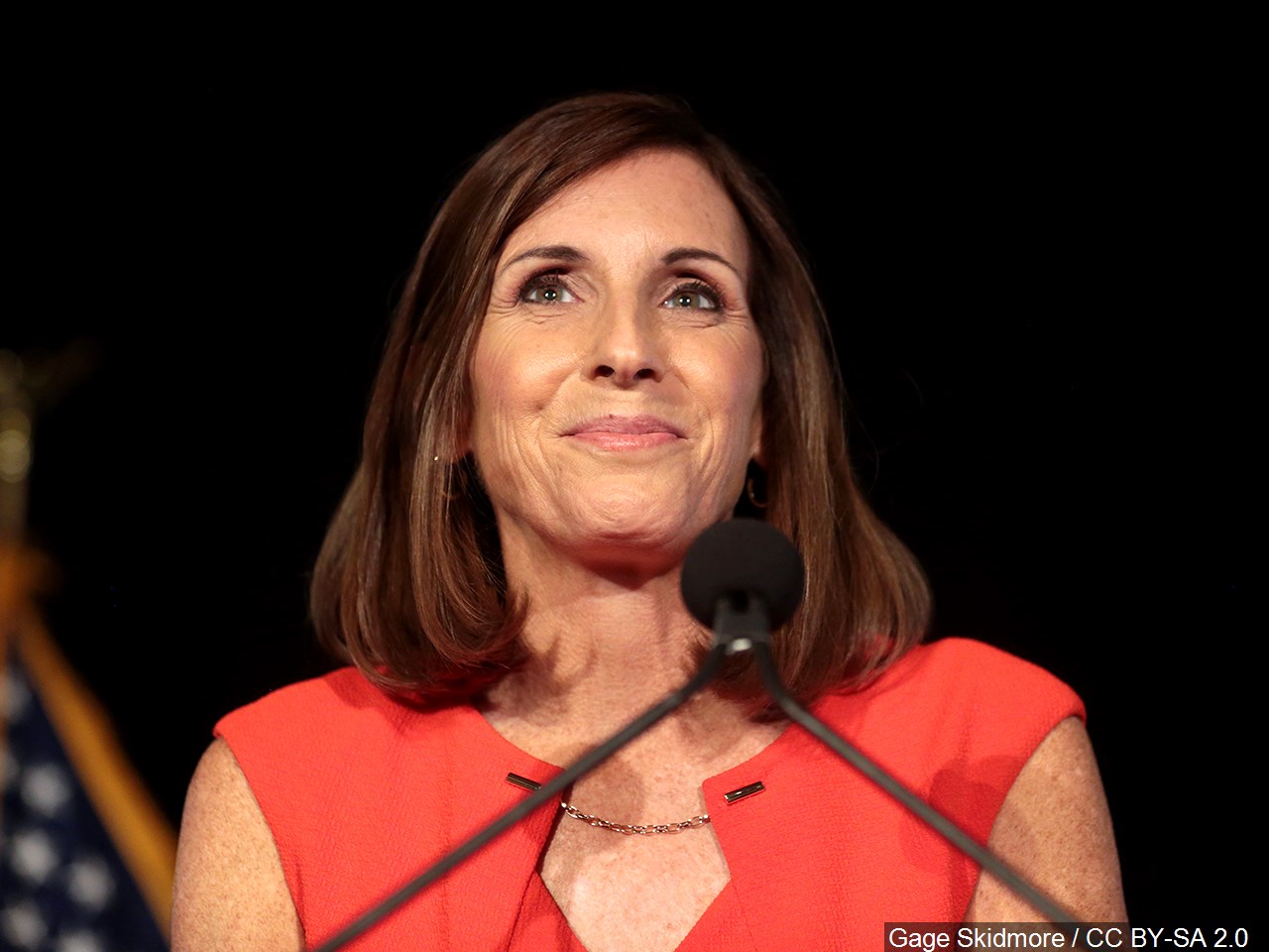 Should AZ Gov. Ducey appoint McSally to the US Senate? 