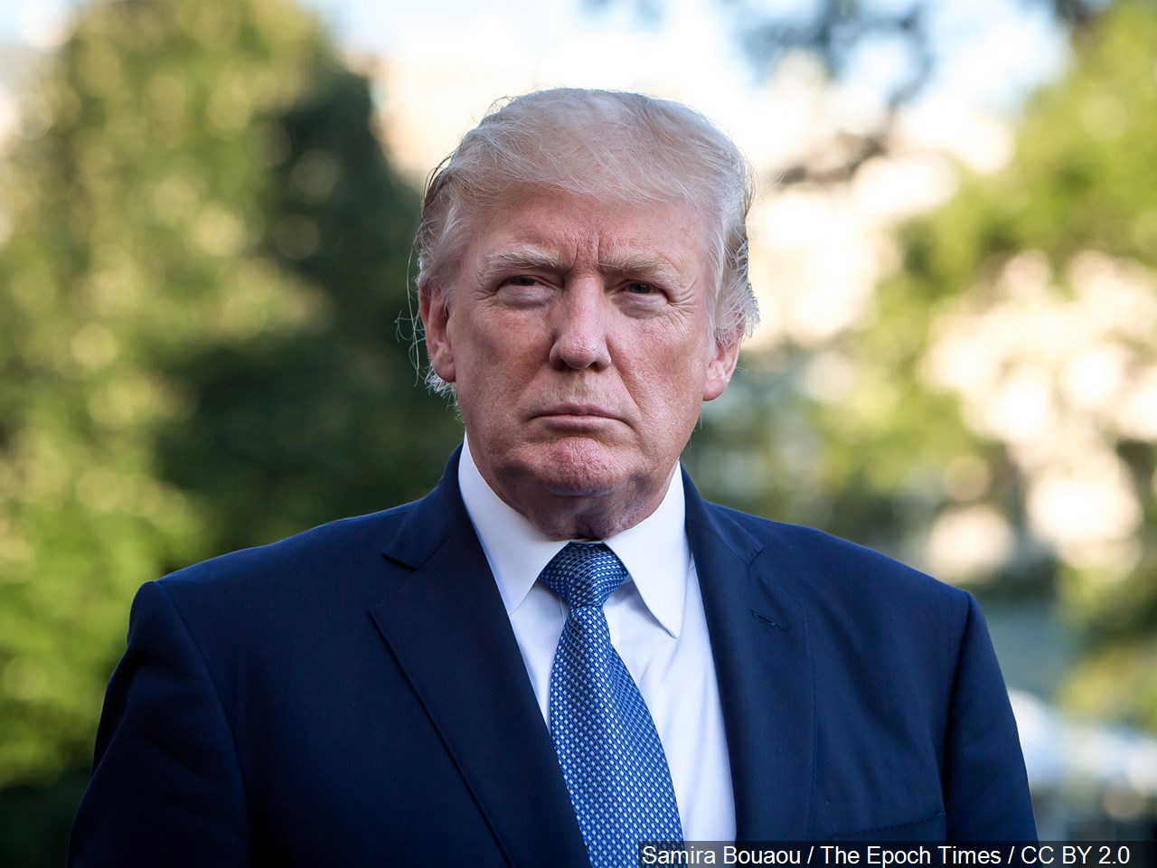 After Trump's comments, should the U.S./Mexico border be closed?