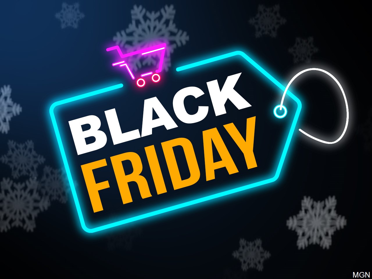 Will you be shopping on Black Friday ? 