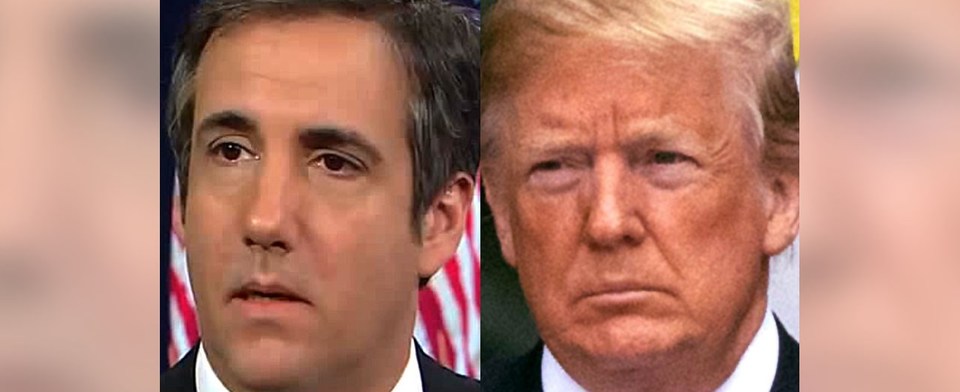 Do you think Michael Cohen pled guilty for a reduced sentence? 