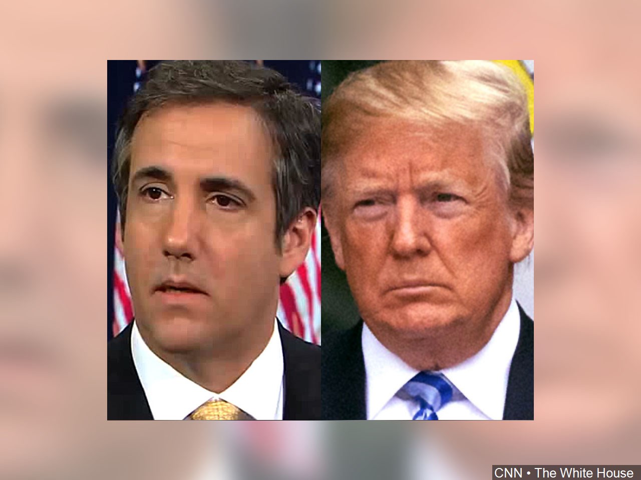 Do you think Michael Cohen pled guilty for a reduced sentence? 