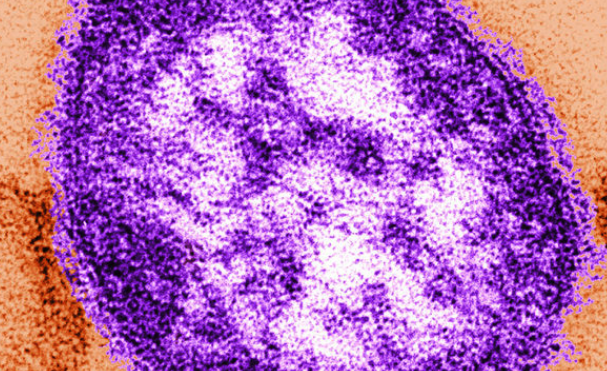 Do you believe in getting yourself and your family vaccinated?