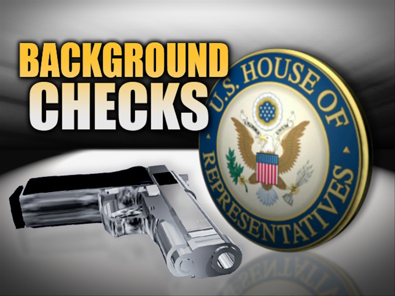 Should there be stricter background checks when purchasing guns?