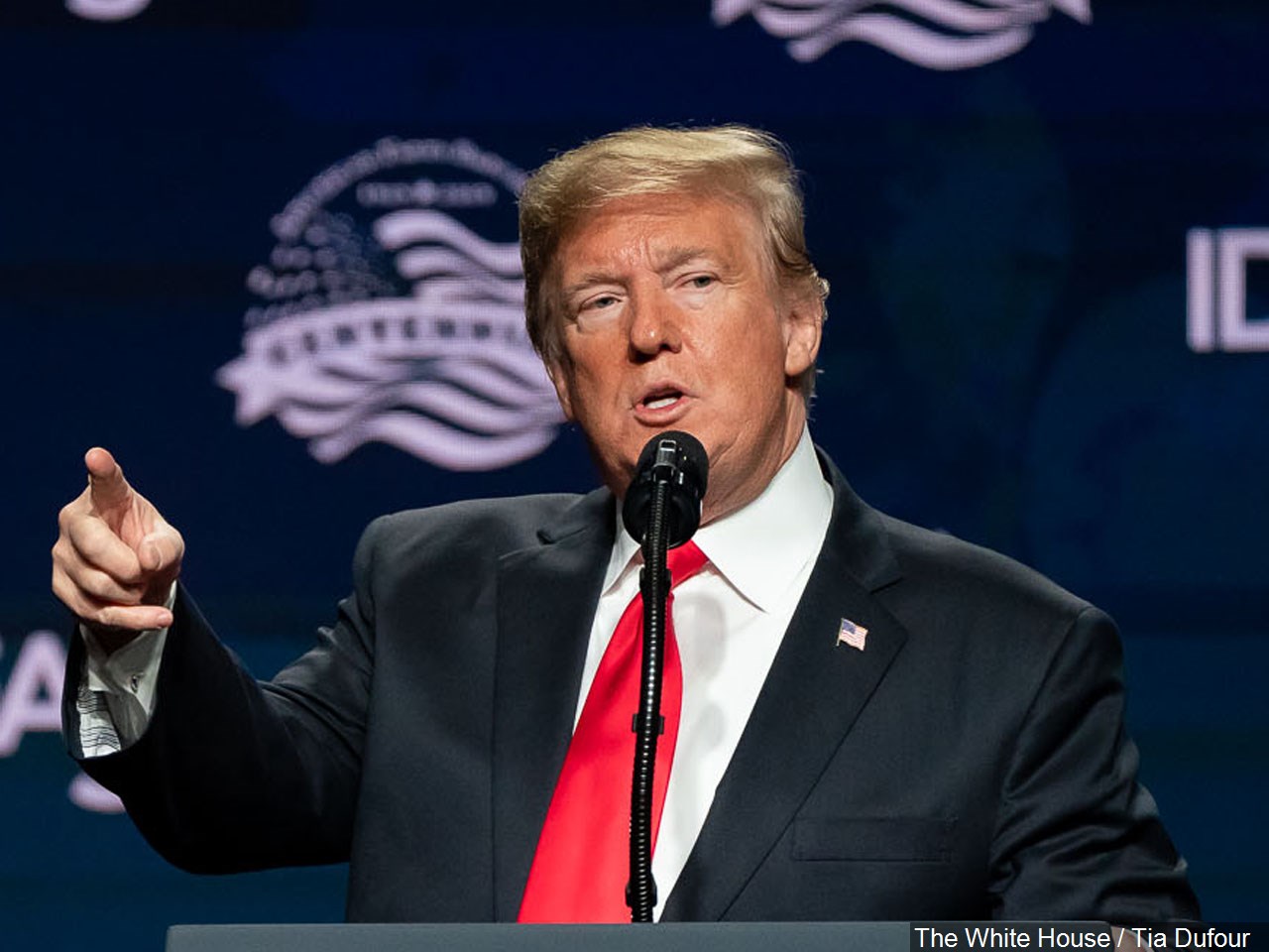 Do you think President Trump will win a second term? 