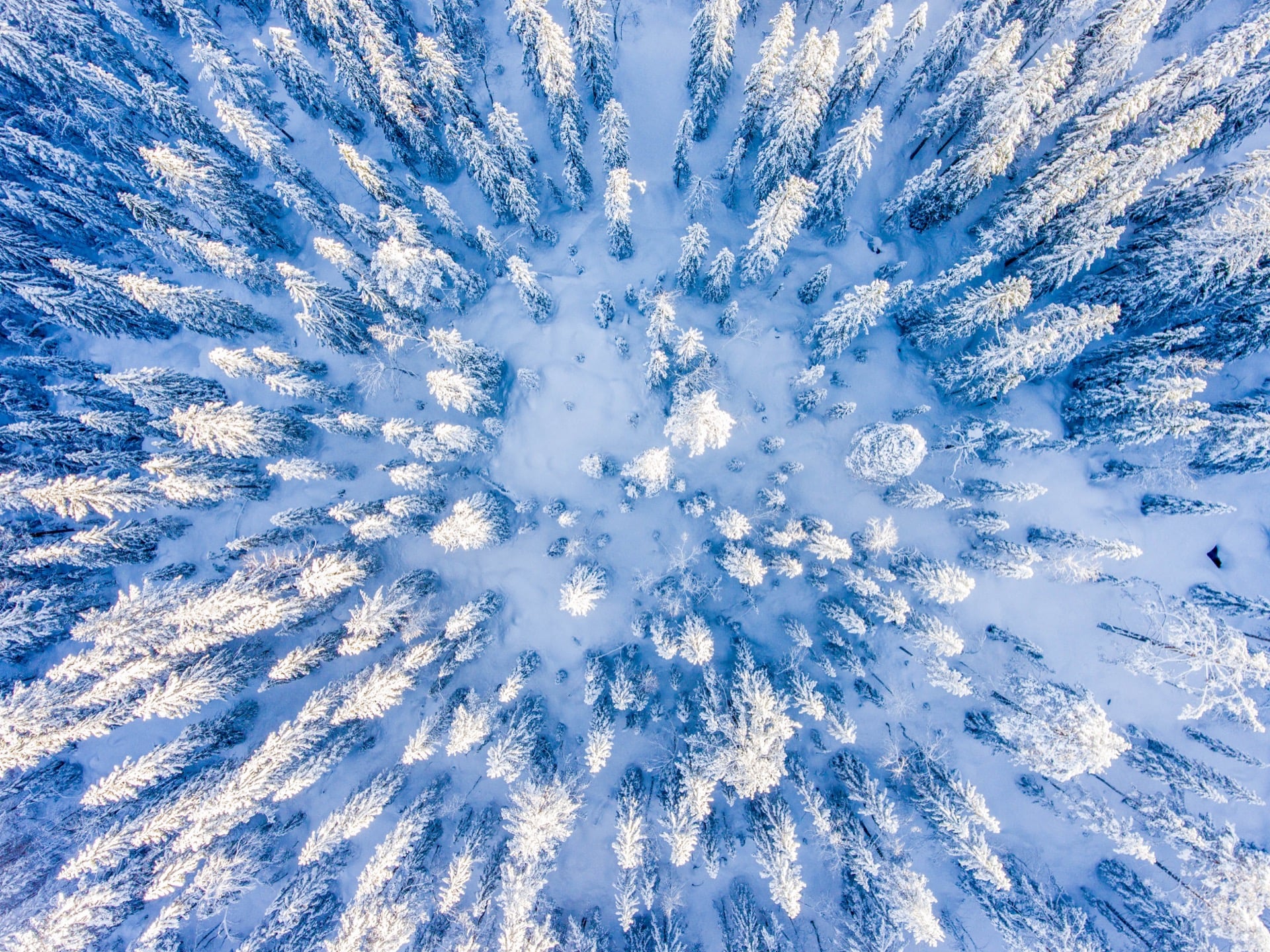 Do the cold temperatures convince you global warming is a threat?