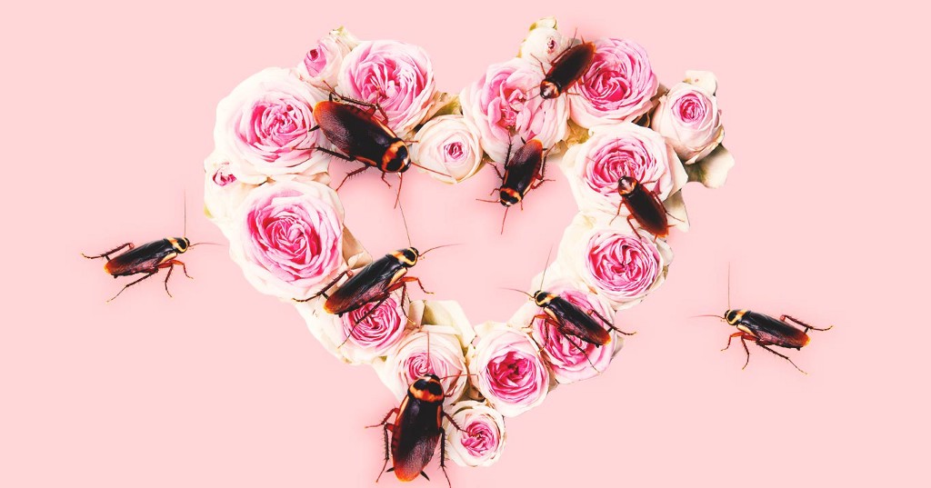 Would you name a cockroach after your ex for Valentine's Day? 