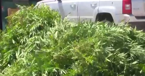 Should the D.A. have a list of all legal grows in Deschutes Co.?