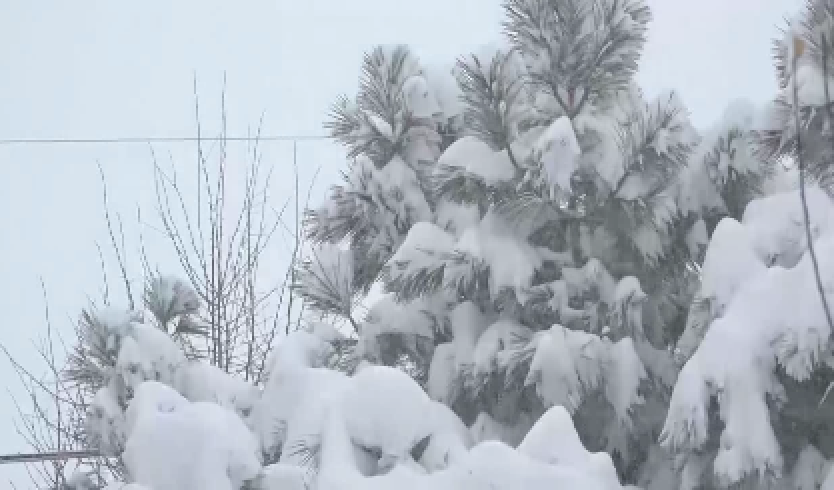 Which is worse:  historic snowfall or smoky summer? 