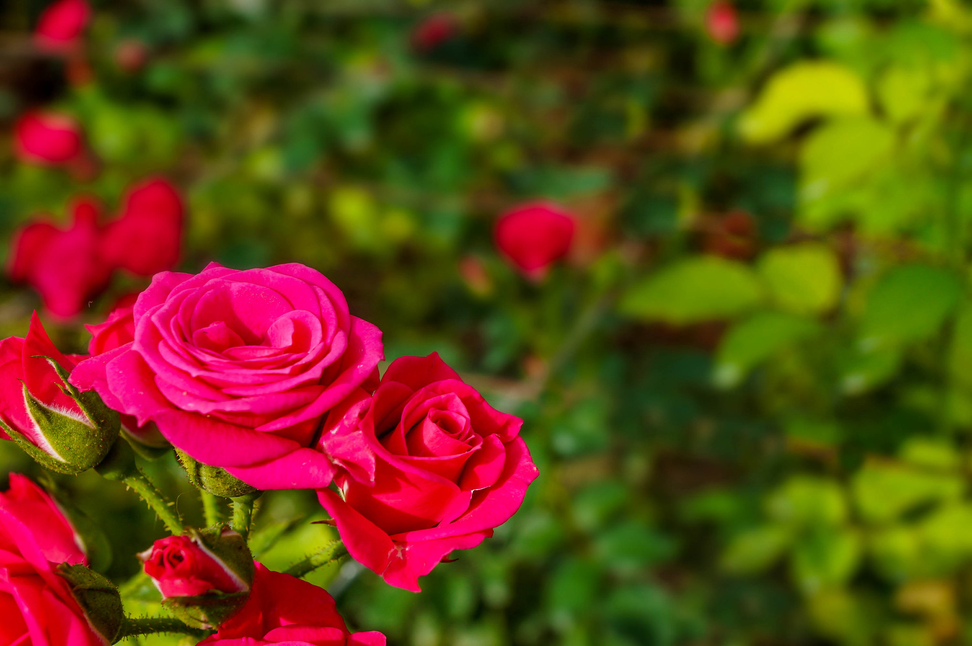 Are you excited for spring?