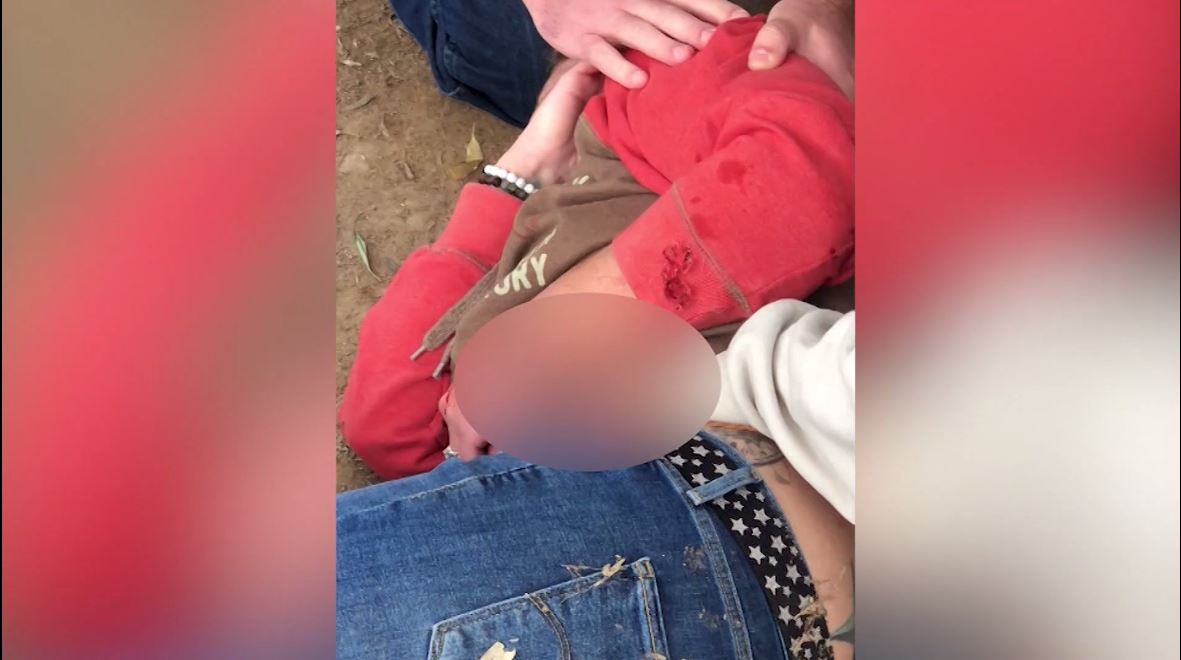 Should there be stricter rules regarding photos at zoos? 