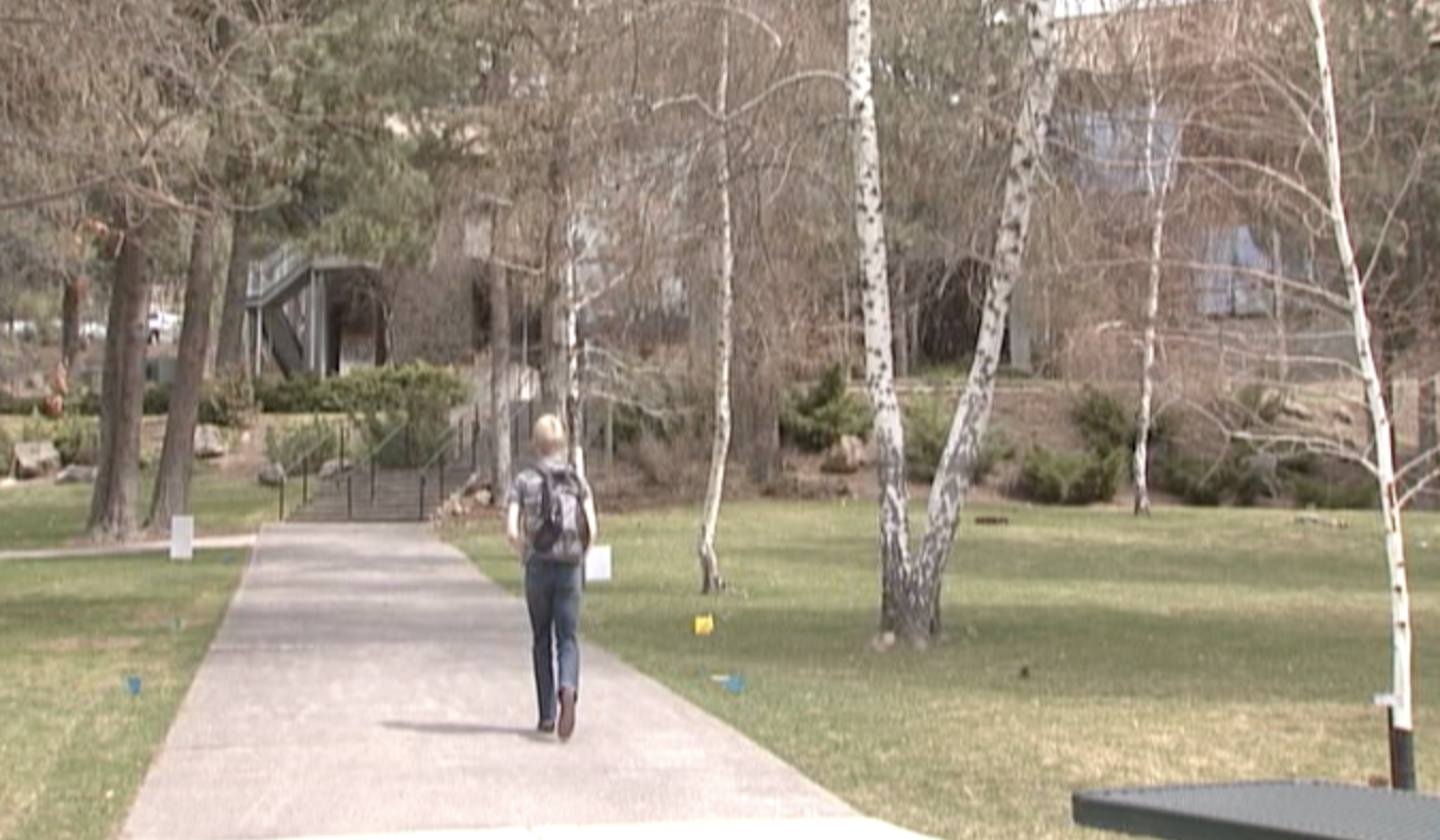 How should people behind college admissions scams be punished?