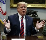 Do you agree with Trump's decision to veto? 