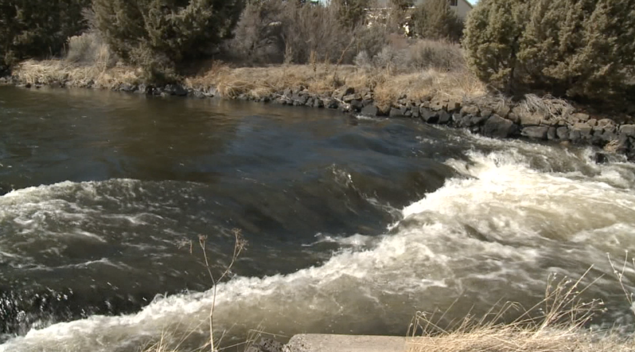 Do you support piping canals to conserve water?