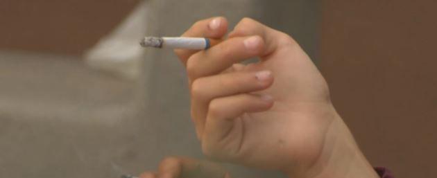 Should the City ban smoking in cars when children are present?