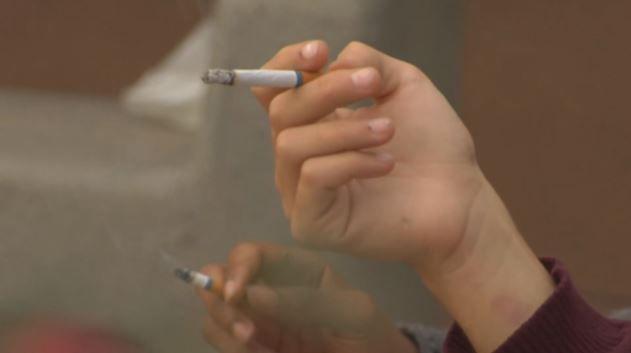 Should the City ban smoking in cars when children are present?