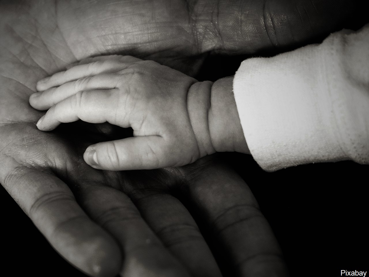 Should early abortion be banned?