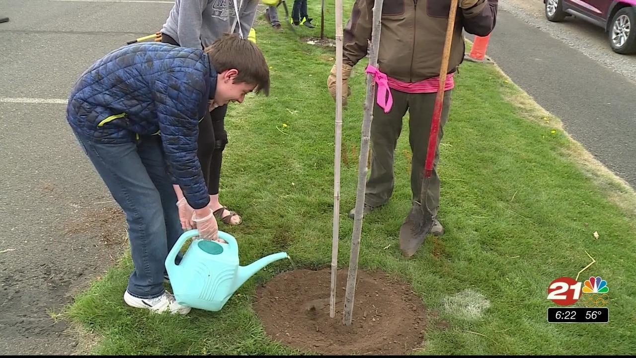 Have you ever planted a tree?