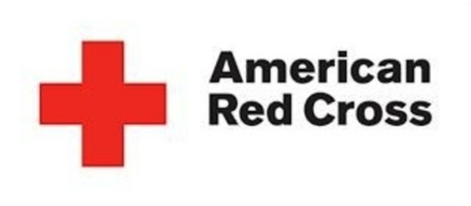 Have you given blood in the past year?