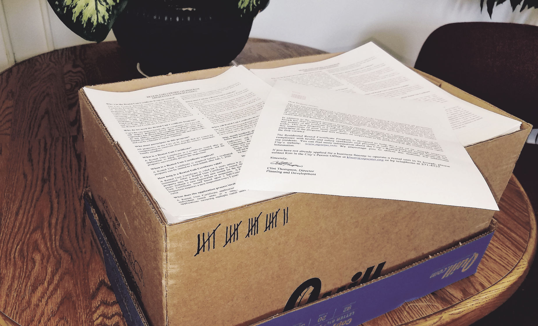 Should the city send out letters for rental inspections?