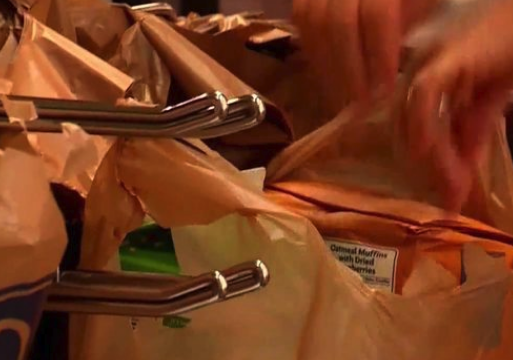 Do you support banning/charging for plastic grocery bags?