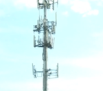 Do you believe cell phone towers are harmful to your health?