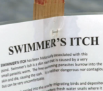 Do warnings about swimmer's itch keep you out of alpine lakes?