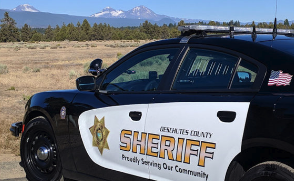 Have you been cited for a traffic violation in the past year?