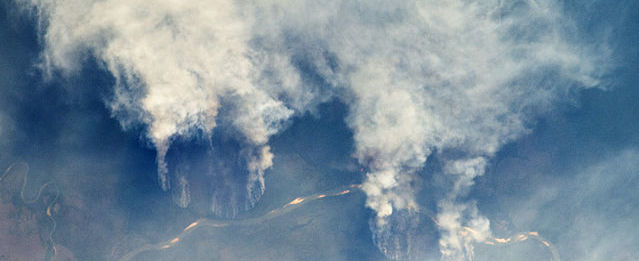 Who should confront the fires in the Amazon? Who should confront the fires in the Amazon?