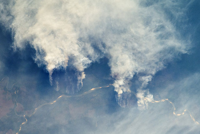 Who should confront the fires in the Amazon?