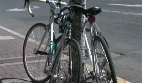 Would you rather: mountain bike or ride the road?
