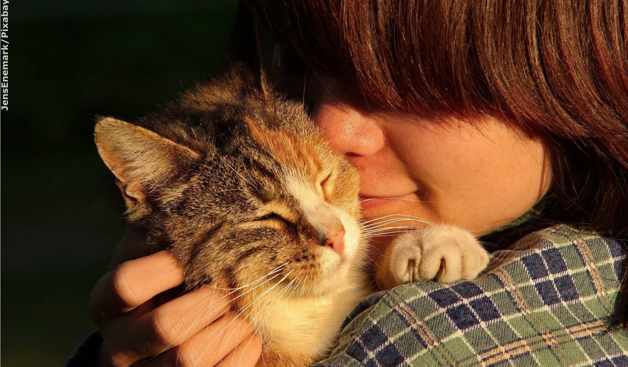 If you could only have one pet, would it be a cat or a dog?