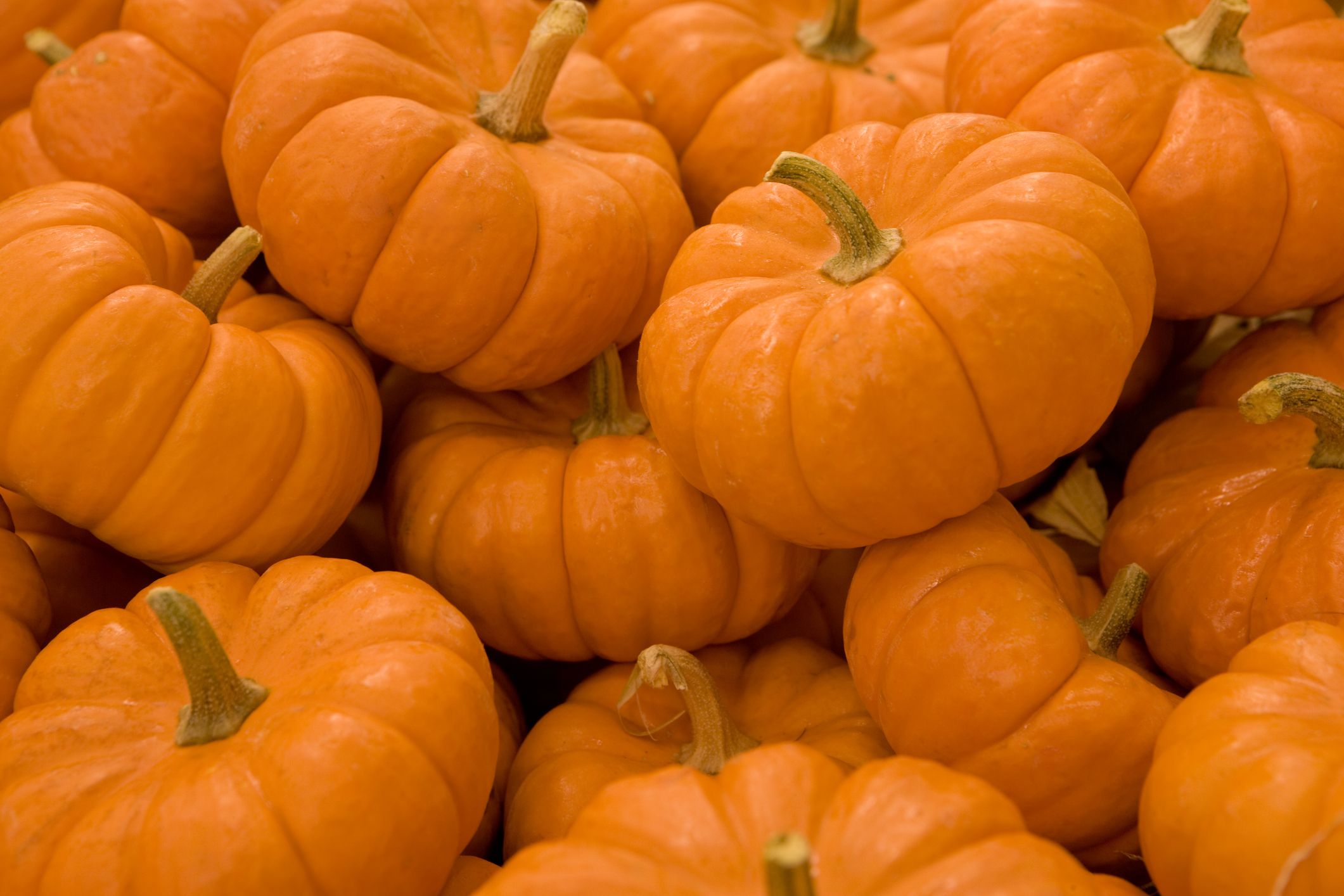 ARE YOU READY FOR SPOOKY SEASON???