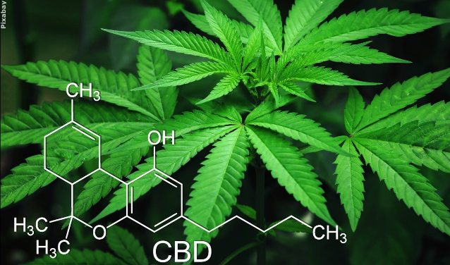 Do you use any hemp-based products?