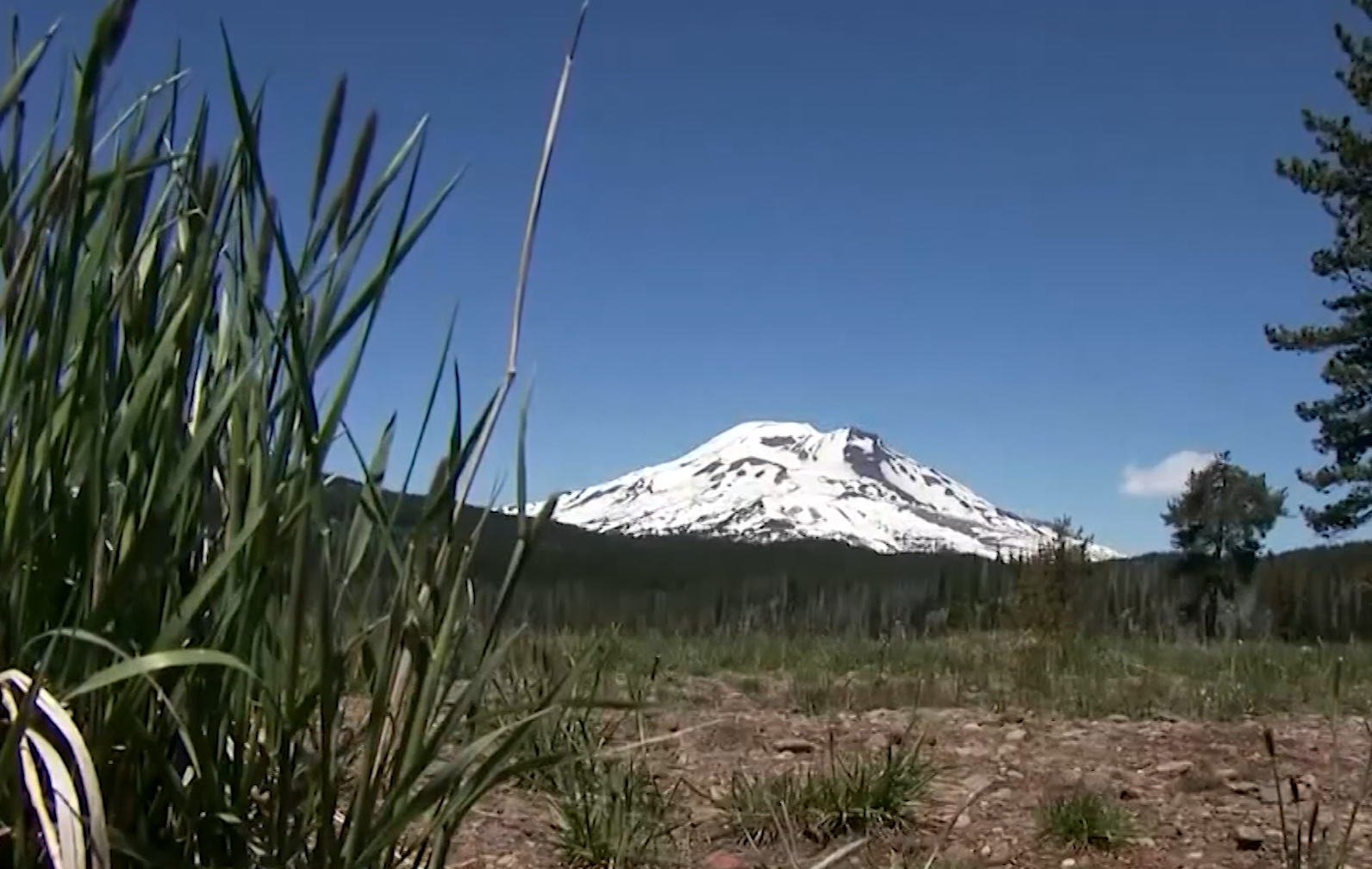 Do you think $3-5 is a fair price for wilderness access fees?